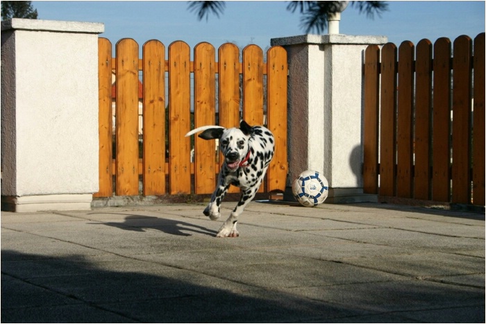 Mami wirft schon wieder einen anderen Ball